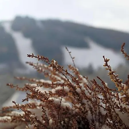 Belvedere Semmering