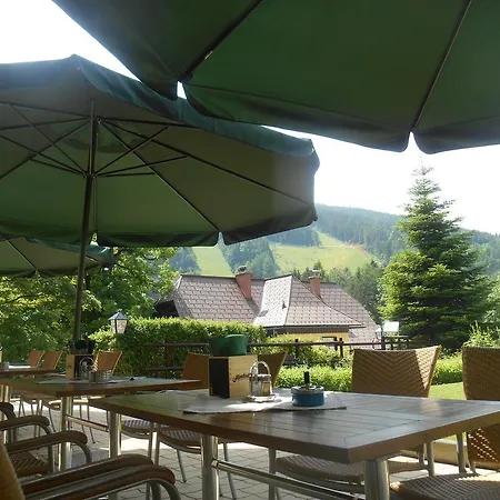 Hotel Belvedere 3*